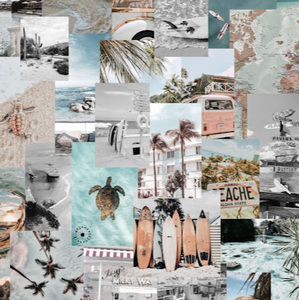 Meet your Posher, Gracie